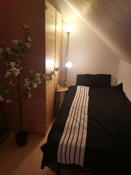 בופארד Wohnung Am Kurpark Mit Privater Innensauna & Led! Schluesselbox מראה חיצוני תמונה
